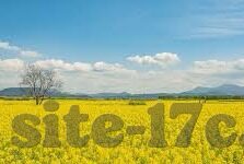 2019年手机伦理-2019年手机伦理，数字时代的新伦理挑战