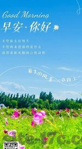 91麻豆视频免费看-揭开网络视频的迷雾，91麻豆视频的隐秘世界