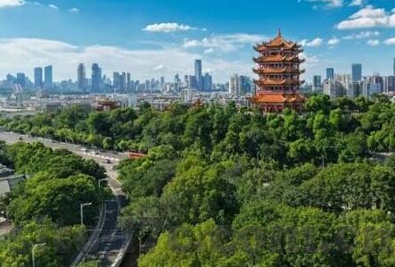 麻豆传媒国产视频-麻豆传媒国产视频的独特魅力与文化探索