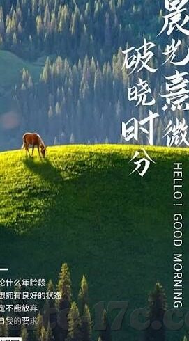 糖心app直播下载-