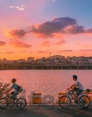 糖心vlog破解版软件分享-科技黑幕，糖心Vlog破解版的灰色地带与潜在风险